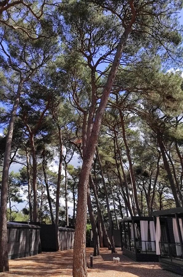 Mobile Home More Porton Nature Hideouts Rovinj Zewnętrze zdjęcie